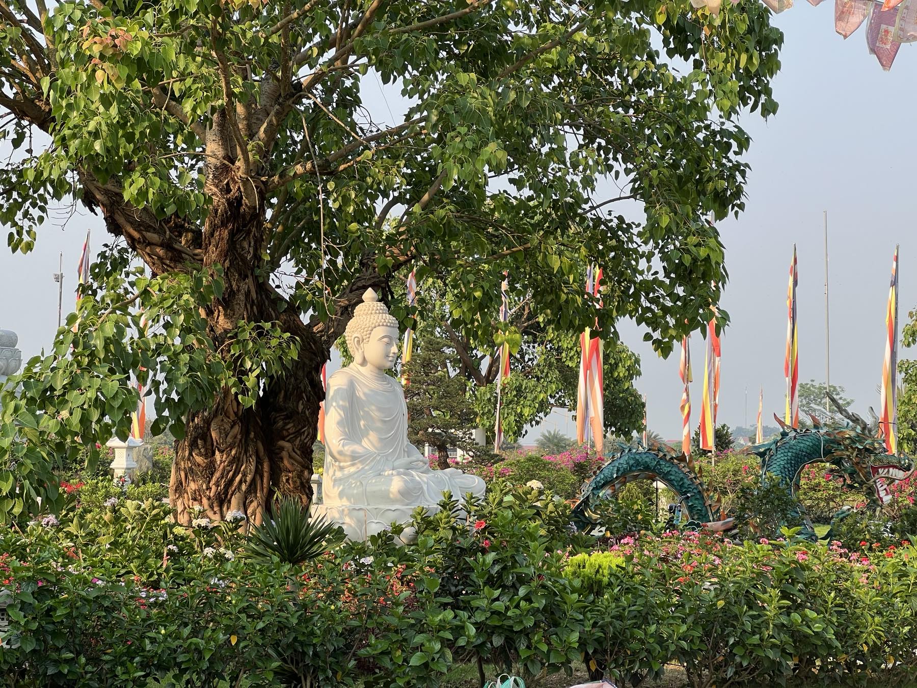 Vườn Phât Thành đạo trong khuôn viên Đại Bảo Tháp Mandala Tây Thiên